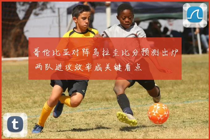 哥伦比亚对阵乌拉圭比分预测出炉 两队进攻效率成关键看点