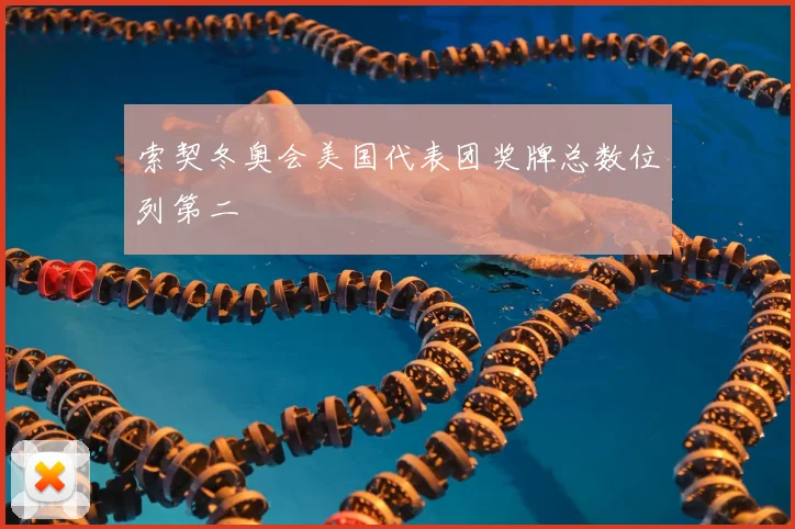 索契冬奥会美国代表团奖牌总数位列第二