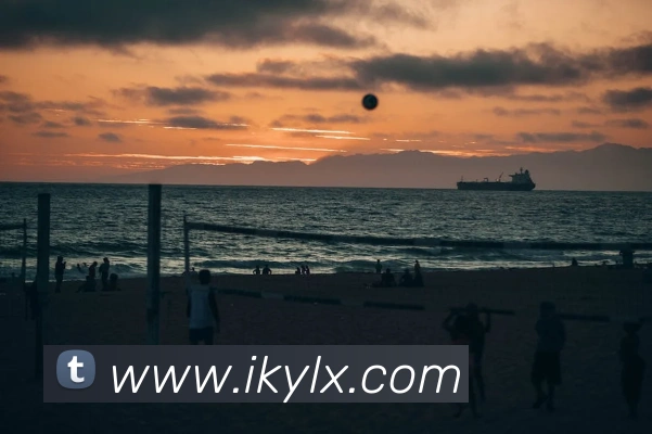 买球官方平台生态图