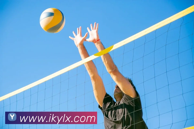 买球官方全站App